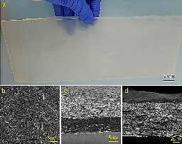 Composite plastic degrades easily with bacteria, offers environmental benefits