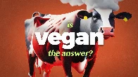 [Video] Is Veganism Really the Answer?