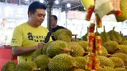 Durian supply down by 20% due to rainy weather, but prices stable for now