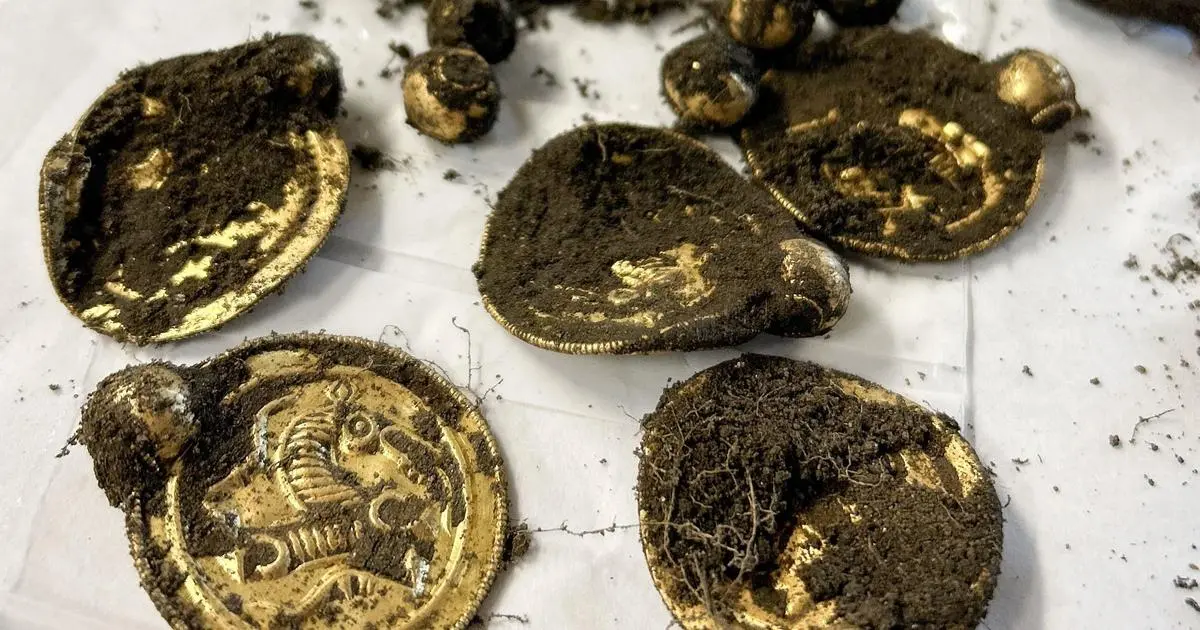 A man bought a metal detector to get off the couch. He just made the "gold find of the century" in Norway.