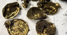 A man bought a metal detector to get off the couch. He just made the "gold find of the century" in Norway.