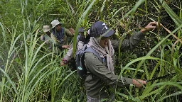 In Indonesia, women ranger teams go on patrol to slow deforestation