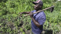 Farmers in Africa say their soil is dying and chemical fertilizers are in part to blame