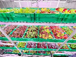 Empty Office Buildings Are Being Turned Into Vertical Farms