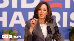 Kamala Harris raises $81m after Biden's presidential race exit