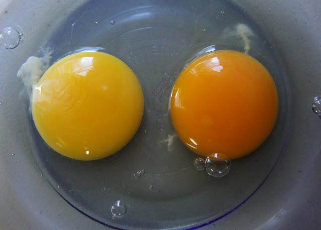 Store egg vs farm egg