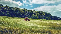 British farmers demand basic income to prevent bankruptcy in wake of Brexit