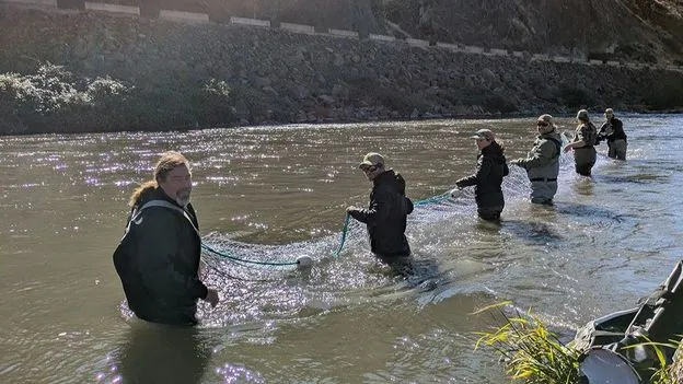 After 100 years, salmon have returned to the Klamath River – following a historic dam removal project in California