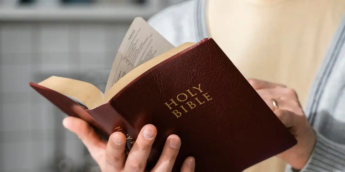 Reddit users are reporting Christian websites for violating Virginia's new porn identification law, citing vulgar passages in the Bible