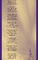 The Spider Poem