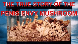 The True Story of the Penis Envy Mushroom