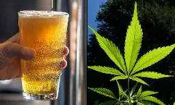 More Americans Smoke Marijuana Every Day Than Drink Alcohol On A Daily Basis, Poll Shows - Marijuana Moment