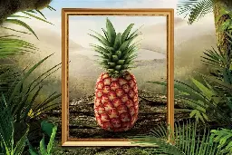 California grocery store selling a limited-edition pineapple for $400