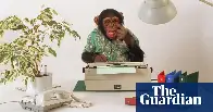 Universe would die before monkey with keyboard writes Shakespeare, study finds