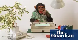 Universe would die before monkey with keyboard writes Shakespeare, study finds