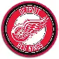 detroitredwings