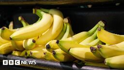 'Banana-free areas requested' over Swedish minister's phobia