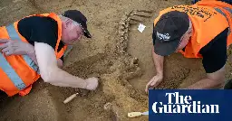 Battle of Waterloo dig uncovers horror of severed limbs and shot horses