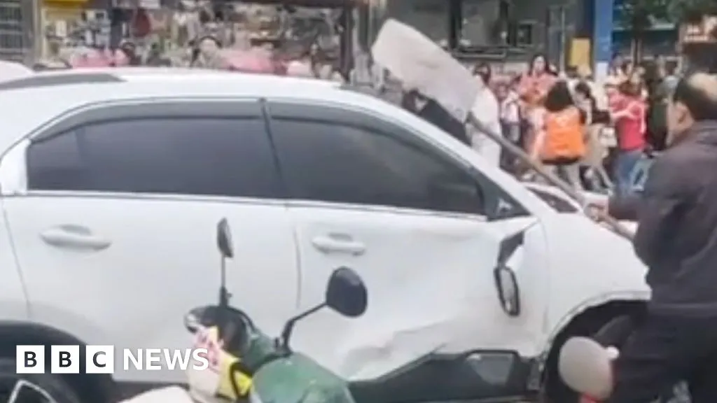 Car driven into crowd outside primary school in China