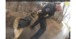 Sheriff’s deputy faces suit after K-9 attacked another officer