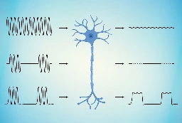 Rice-engineered material can reconnect severed nerves