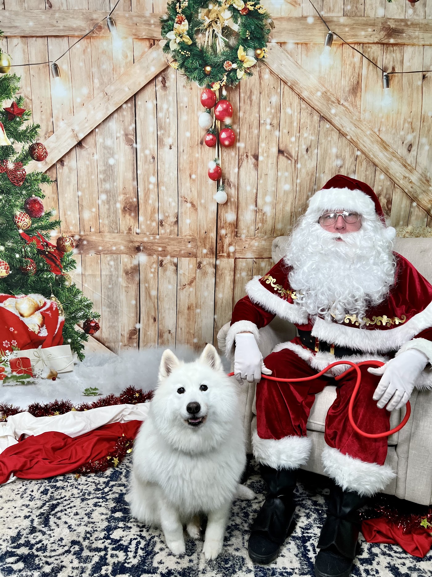 Fluffy dog with Santa