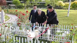 How Putin Uses His Pet Dogs for the Kremlin’s Dirty Tricks