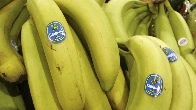 Florida jury finds Chiquita Brands liable for Colombia deaths by financing paramilitary group, must pay $38.3M to family members