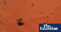 Humanity is on the verge of ‘shattering Earth’s natural limits’, say experts in biodiversity warning