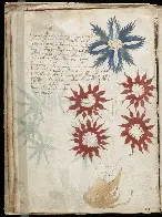 Voynich manuscript