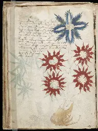 Voynich manuscript - Wikipedia