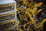 lol, US bitcoin miners are now competing with AI for cheap power in the US