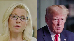 Trump Calls for Liz Cheney and Jan. 6 Committee to Be Jailed