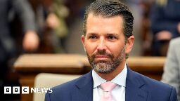 Donald Trump Jr testifies in New York civil fraud trial