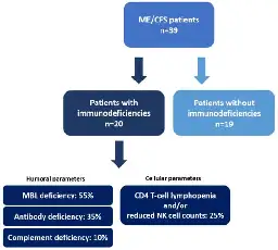 Immunological Patient Stratification in Myalgic Encephalomyelitis/Chronic Fatigue Syndrome