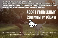 Adopt Now!