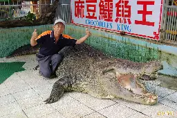 麻豆鱷魚王「小河」中國病死 原飼主邱錫河難過：2天睡不好覺 - 生活 - 自由時報電子報