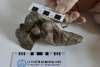 Smallest dinosaur egg ever found confirmed in China