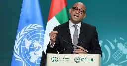 U.N. Climate Chief Warns Countries Against ‘Hiding Behind Loopholes’