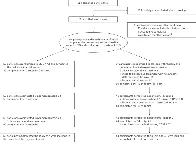 MDMA-assisted therapy for moderate to severe PTSD: a randomized, placebo-controlled phase 3 trial - (Mitchell, et al, 2023)