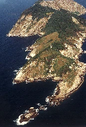 Ilha da Queimada Grande - Wikipedia