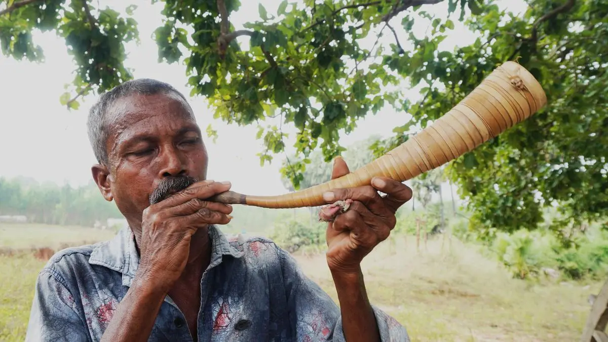 Koya tribe rides the eco-friendly wave to help conserve the Indian Bison of Eastern Ghats