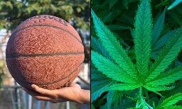 States That Legalize Marijuana See Enhanced College Basketball Recruitment, Study Finds - Marijuana Moment