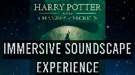 Reading "Harry Potter and the Chamber of Secrets" - Immersive Soundscape Experience