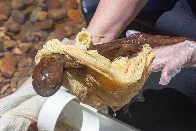 In North Carolina, Eastern Hellbenders Are a Species of Concern, Threatened by the Vagaries of Climate Change