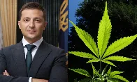 Ukraine’s Zelensky Signs Medical Marijuana Bill, A Step He Says Can Heal ‘Pain, Stress and Trauma Of War’ With Russia