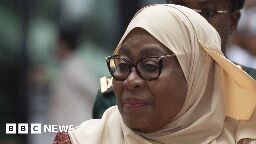 Tanzania's news sites banned over animation deemed critical of Samia Suluhu Hassan