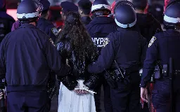 Almost half of protesters arrested on New York campuses have no connection with university