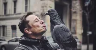 Elon Musk is a pigeon CEO, 'he comes, sh*ts all over us, and goes', says former Tesla manager