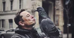 Elon Musk is a pigeon CEO, 'he comes, sh*ts all over us, and goes', says former Tesla manager
